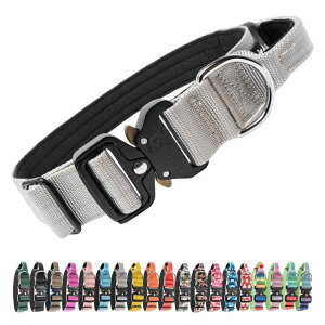 TSPRO v~Anhtpցb߉ENCbN[Xb^`^p ( L)