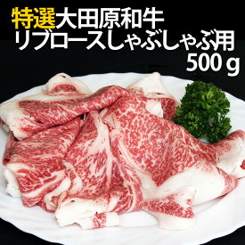 とろける口どけと濃厚な旨み特選大田原和牛リブロースしゃぶしゃぶ用500g