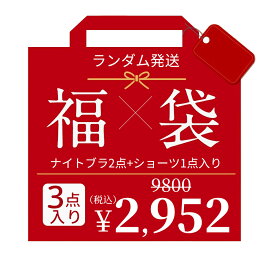 【Fashion Sale限定最大60%OFF！】★未来link福袋2026★【ナイトブラ2点+ショーツ点入り】