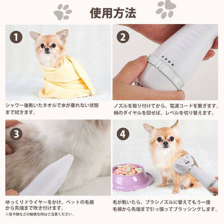 楽天市場】【先着200名様8%OFFクーポン】【ブラッシング&ドライヤー 
