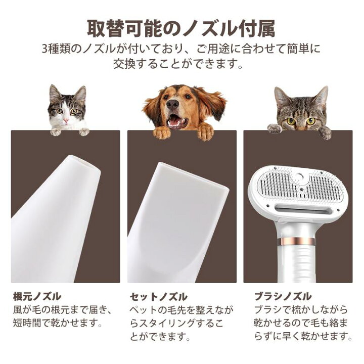 楽天市場】【先着200名様8%OFFクーポン】【ブラッシング&ドライヤー 