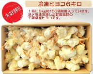 国産冷凍ヒヨコ6kg　約150羽分　　フクロウ　鷹　ハヤブサ　エサ　猛禽類のエサ　ペットフード　国産　ヒ…