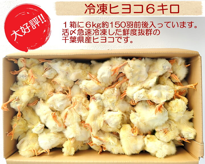 楽天市場】国産冷凍ヒヨコ6kg 約150羽分 フクロウ 鷹 ハヤブサ 