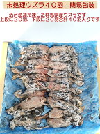 冷凍未処理ウズラ　簡易包装　ウズラ40羽　フクロウ　鷹　ハヤブサ　エサ　猛禽類のエサ　ペットフード　…