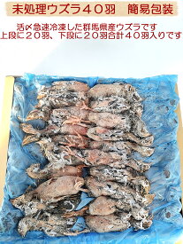 冷凍未処理ウズラ　簡易包装　ウズラ40羽　フクロウ　鷹　ハヤブサ　エサ　猛禽類のエサ　ペットフード　国産　ウズラ