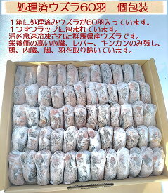 冷凍処理済みウズラ60羽　個包装　国産　フクロウ　鷹　ハヤブサ　エサ　猛禽類　ペットフード　群馬県産　ウズラ
