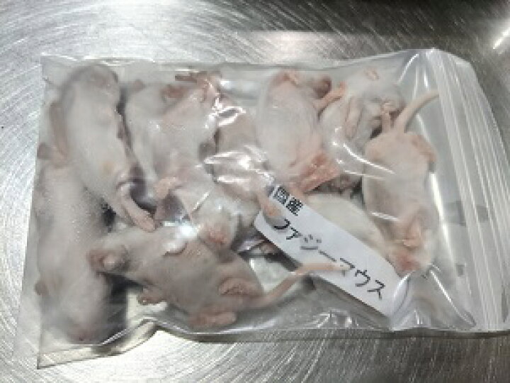 お中元 国産冷凍ヒナウズラ約１ｋｇ 約500ｇ２袋入り 猛禽類エサ ペットフード