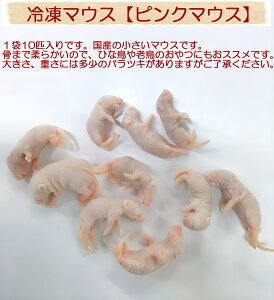 国産ピンクマウスM(10匹入) フクロウ 鷹 ハヤブサ エサ ペットフード 猛禽類