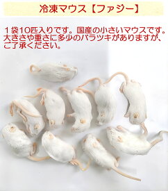 国産冷凍ファジーマウス(10匹入り)　　フクロウ　鷹　ハヤブサ　エサ　猛禽類　ペットフード