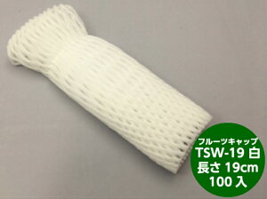 y10%OFFzyzoCI t[cLbv TSW-19  y_uz19cm y100zoCIvX`bN ʕ ɏՍ ی A lbg  }XJbg VC}XJbg Ԃǂ   