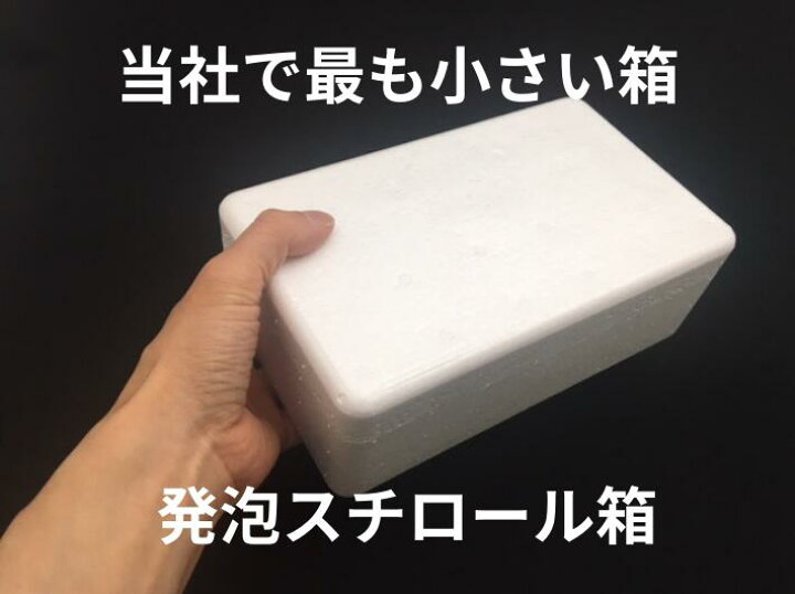 楽天市場】発泡ボックス TK-1 蓋付セット 保冷 ボックス 内寸187×96 
