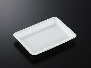 A g[ CN25-18FF (L)y100z 248×180×30 mm w PSP  Hig[ (̎Ή) e hg y N eCNAEg A ĝ Ws CNg[ CN  ĝĐH 
