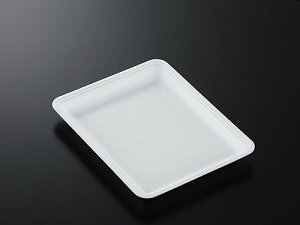 A g[ CN20-25EE (L) y100z 248×196×25 mm w PSP  Hig[ (̎Ή) e hg y N eCNAEg A ĝ Ws CNg[ CN  ĝĐH