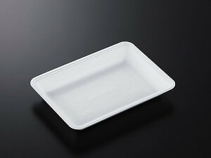 A g[ CN25-18GG (L) y50z 248×180×35 mm w PSP  Hig[ (̎Ή) e hg y N eCNAEg A ĝ Ws CNg[ CN  ĝĐH 