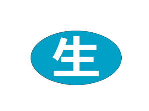 yV[gzV[u  vȉ~ F 30×18mm LH494 y1 1000zV[g y䂤pPbgΉ(6܂)z ARC N \ ̔ S ʕ Nx VN tbV  Ȃ