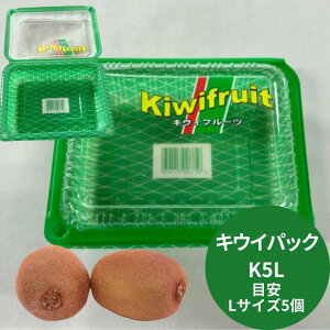 LECpbN K5L 170(154)×136(120)×34(W16)mmy100zeʖڈ:LTCY5 {^ƍ OPS ʃtbg^ eCNAEge T_ ĝ e pbN ĝ eCNAEg A g