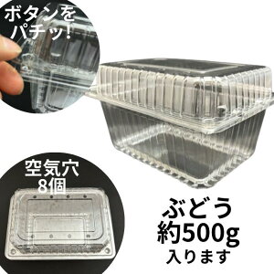 t[c 600 8H 8 {^ƍy50z 180(160)×130(110)×{70+W30mm Ma A-PET Ԃǂ 500g Wt ʎ ʕ e  t[c P[X vX`bN  Mtg    荇킹 