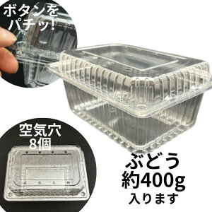 t[c 530 8H 8 {^ƍy50z 180(160)×130(110)×{60+W20mm Ma A-PET Ԃǂ 400g Wt ʎ ʕ e  t[c P[X vX`bN  Mtg    荇킹 