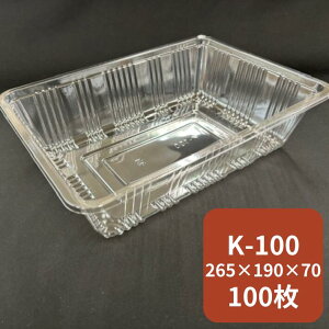 y10%OFFzt[cP[X K-100 y100z 265×190×70mm XpbN ʎ ʕ e  t[c P[X vX`bN Ԃǂ    Mtg VC}XJbg   荇킹 l