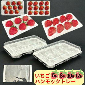 いちご ハンモックトレー 100枚セット 133×200mm コバヤシ 緩衝性 輸出 苺 ハンモック 輸送 大粒 ギフト 贈答 トレー