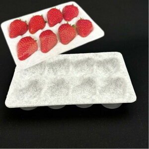 y5%OFFz nbNg[ 100Zbg 133×200mm RoV ɏՐ Ao  nbN A 嗱 Mtg  g[