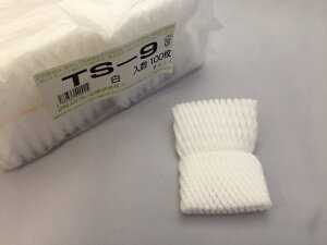 yזڃ^Cvzt[cLbv TS-9  yVOz 9cm y100z ׂԖڃ^Cv ʕ ɏՍ ی A lbg Lbv t[c  A Ռ  ی U TS TS^Cv