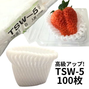 oCI t[cLbv TSW-5  y_uz5cm y100zoCIvX`bN20%z ʕ ɏՍ ی A lbg   LEC Lbv t[c  A Ռ  ی U