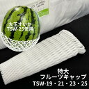 【超特大】バイオ フルーツキャップ TSW-19 TSW-21 TSW-23 TSW-25 白 【ダブル】【100個】バイオプラスチック 果物 緩衝材 保護材 発泡 ネット メロン マスカット シャインマスカット ぶどう 梨 小玉 すいか 西瓜 キャップ フルーツ 網 輸送 衝撃 守る 保護 振動
