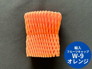 yAz t[cLbv W-9 _u 9cm eJ[ y100z TSW-9 TSW  ʕ ɏՍ ی A lbg Lbv t[c  A Ռ  ی U