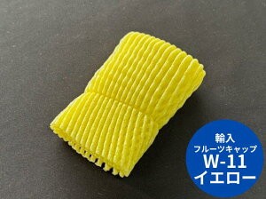 yAz t[cLbv W-11 _u 11cm eJ[ y100z TSW-11 TSW  ʕ ɏՍ ی A lbg Lbv t[c  A Ռ  ی U