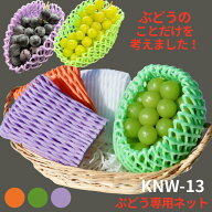 ぶどう向け フルーツキャップ KNW-13 ゴム無 グリーン オレンジ ムラサキ ダブル 13cm 【100個】 バイオ…
