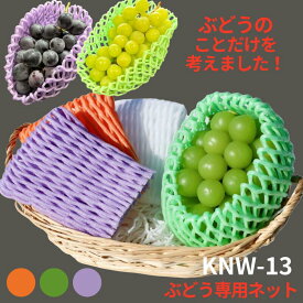ぶどう向け フルーツキャップ KNW-13 ゴム無 グリーン オレンジ ムラサキ ダブル 13cm 【100個】 バイオプラスチック 果物 緩衝材 保護材 発泡 ネット マスカット シャインマスカット ぶどう 梨 キャップ フルーツ 網 輸送 衝撃 守る 保護 振動 ピオーネ