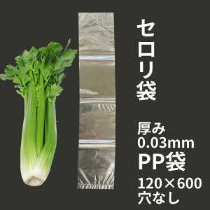 IWi PP 0.03×120×600 mm Ȃ y100z |vs  v}[NȂ   PP Z Z  o   120×600 12×60 cm