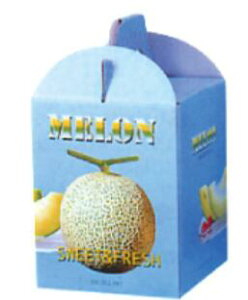 y10%OFFzyʗpzrQXg 1 10 O:170×170×300(220) mm 䎆t  Ma ʃ 1p 5ʃTCY t ʁ@̎Ή\ 600509 Mtg Mtg   o
