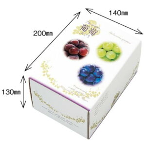 y10z3FuhE 1kg t[c 1 10 200×c140×130mm AA6763 WR̎^  IJ Ԃǂ  t[c{bNX t[cBOX t[c ʕ Mtg Mtg  Ɩp bsO 
