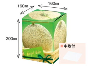 y10%OFFznj[h  1 10 :c160×160×200 mm ~t IJ 5 9kg R[g AA0116 p   1 1 Mtg Mtg   o   eCNAEg