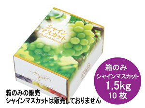 y10zVC}XJbg  1.5kg t[c 1 10 240×c180×130mm AO0202 WR̎^  IJ Ԃǂ  t[c{bNX t[cBOX t[c ʕ Mtg Mtg  Ɩp 