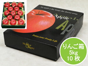 i{[ 񂲔 FEA  5kgy10z5kg :435×345×105mm O:465×375×110mm IJ ь S BOX Mtg ʎ ʕ  AA5915 pbP[W O ϔ Mtg oה 񂲗p A