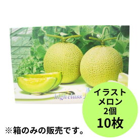 L-62 イラストメロン 2ケ入 メロン箱 信和 【10枚】 外寸:横290×縦145×高195mm ギフト ギフト箱 贈答 贈答箱 出荷 発送 取っ手なし テイクアウト 青果 果樹 販売 ケース 箱 イラスト メロン用 メロンの箱 フルーツ用 フルーツギフト用 果物用 ギフトボックス 箱