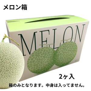 y10%OFFztf 2P  Ma y10z 290×c145×195mm Mtg Mtg   o  Ȃ eCNAEg  ʎ ̔ P[X  CXg p 