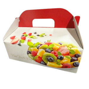 fU[g{bNX v`t[cJtF 235×167×170(75)mm 10 Ȃ fU[gBOX t[c t[c{bNX   IW TN{ Ma