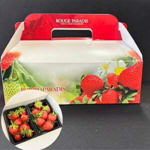 ��������p �f�U�[�g�{�b�N�X ���[�W���p���f�B ��235×��170×��75mm 10�� ���Ȃ� �f�U�[�gBOX �t���[�c�� �t���[�c�{�b�N�X ������ � ���� ���蕨 �M�t�g �t���[�c �����t�� ���}�j�p�b�P�[