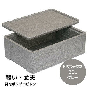y񂹁zA Rei[ EP{bNX #30 30L O[ O 574×388×210mm |vs Ob TR[ ٓ ۉ y y v ^ A ۊǔ n