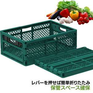 ܂肽݃Rei[ z[IR S 30M o O[  O 517×365×205 mm |vs vX`bN Ob TR[  ʎ o  Y ̔ X[p[ RpNg ȃXy