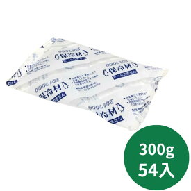 【5%OFF】保冷剤 ナイロン CI 300 【54入】 120×190mm 菅原冷蔵 保冷 冷凍 蓄冷剤 300g 刺し身用 鮮魚 刺身 アイス テイクアウト 鮮度 仕出し 料理 生もの 切り身 輸送 発送 贈答