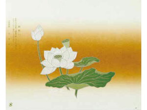 y5%OFFz| ͂  NO.59 y100z260×210mm ގ:  ㎿ 单H   @   A eCNAEg | ܊| 59 HX X Ɩp  do ٓ b