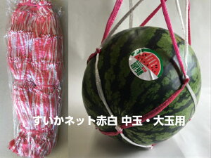 すいかネット【赤白】 中玉・大玉用 【100本】 68cm太手 西瓜 ネット スイカ 網 スイカネット すいか 販売 直売 生産者 西瓜ネット 中玉 大玉 ポリプロピレン スイカ用ネット 西瓜ねっと スイ
