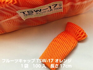 oCI t[cLbv TSW-17 IW y_uz17cm y100zoCIvX`bN ʕ ɏՍ ی A lbg  }XJbg VC}XJbg Ԃǂ  Lbv t[c 