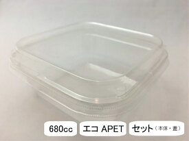 楽天市場 使い捨て容器 サラダの通販