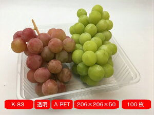 y10%OFFzt[cP[X K-83 y100z 206×206×50mm XpbN ʎ@ʕ@e@J[@ t[c P[X vX`bNԂǂ    Mtg VC}XJbg   
